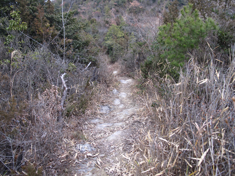 20140125hike (467)
